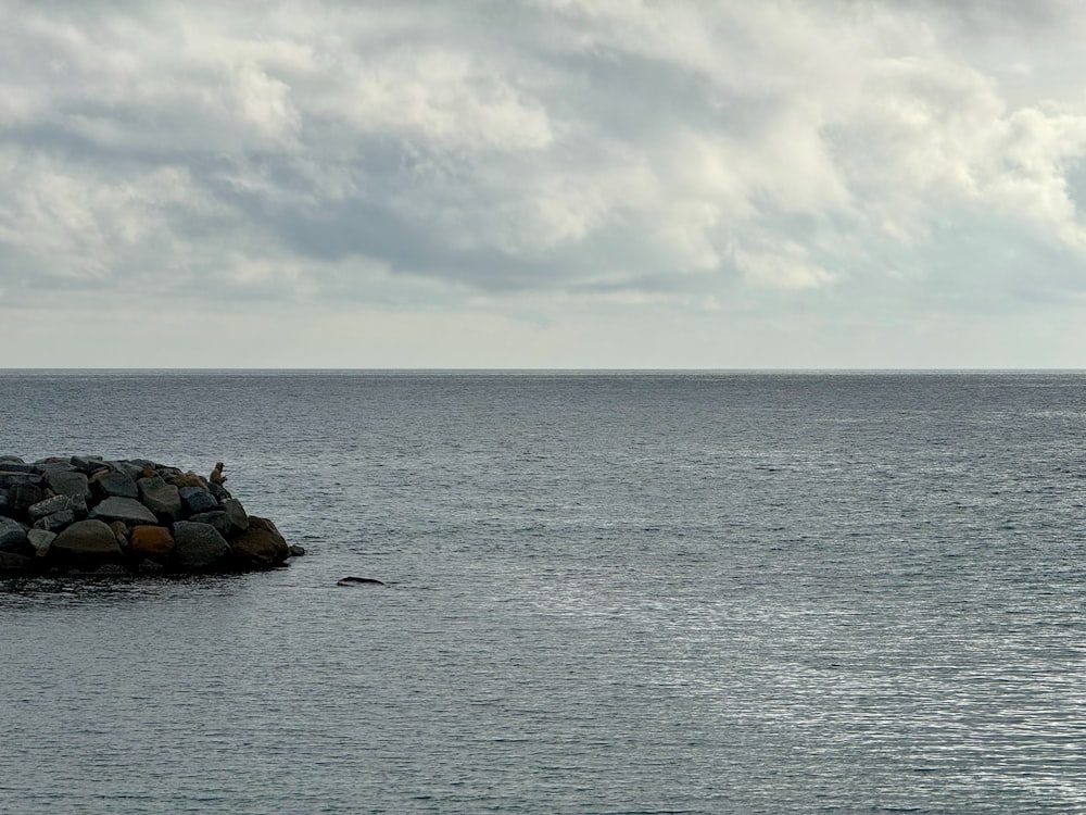 a person standing on a rock in the middle of a body of water