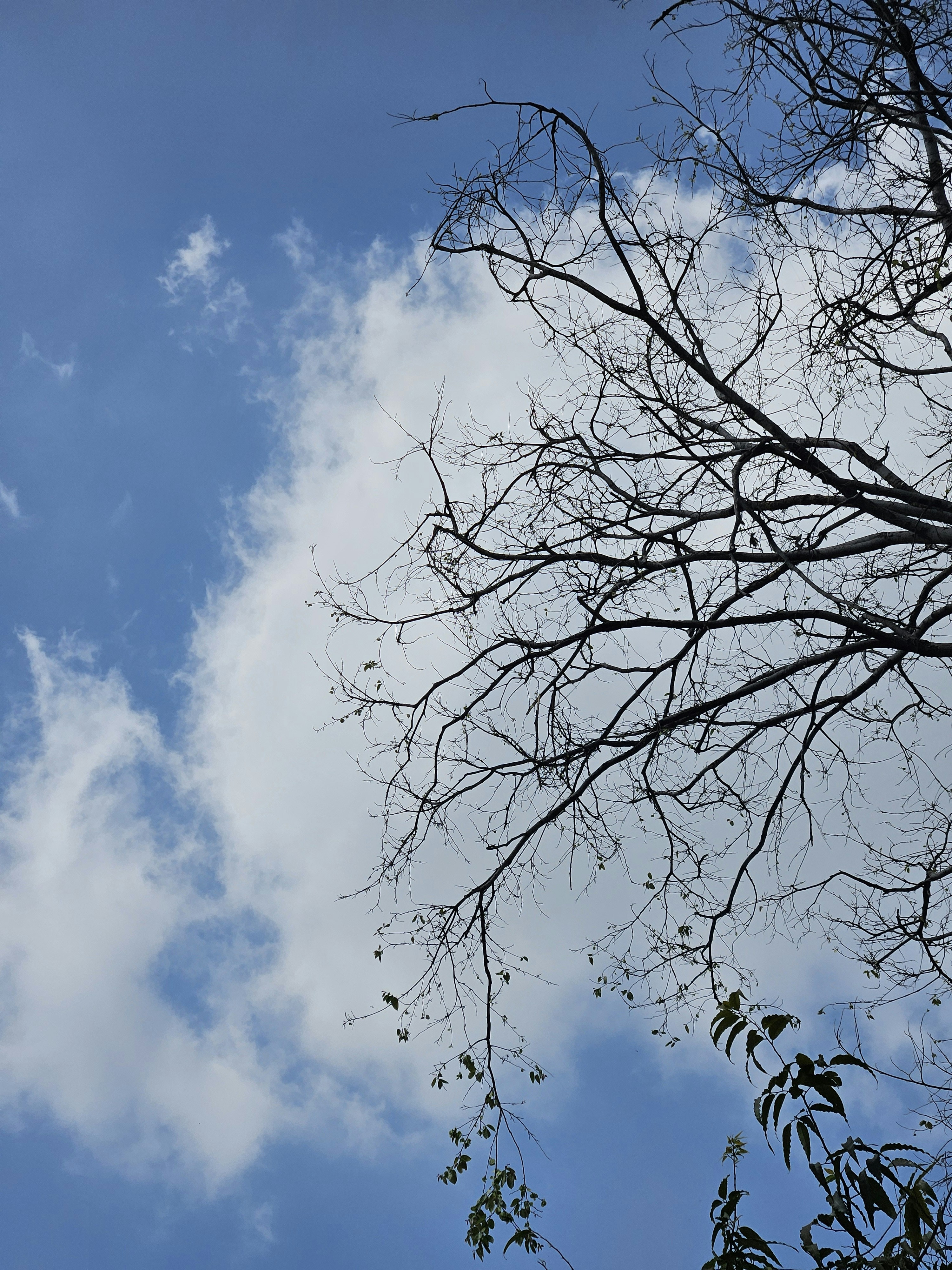 Photo by shridutt_02