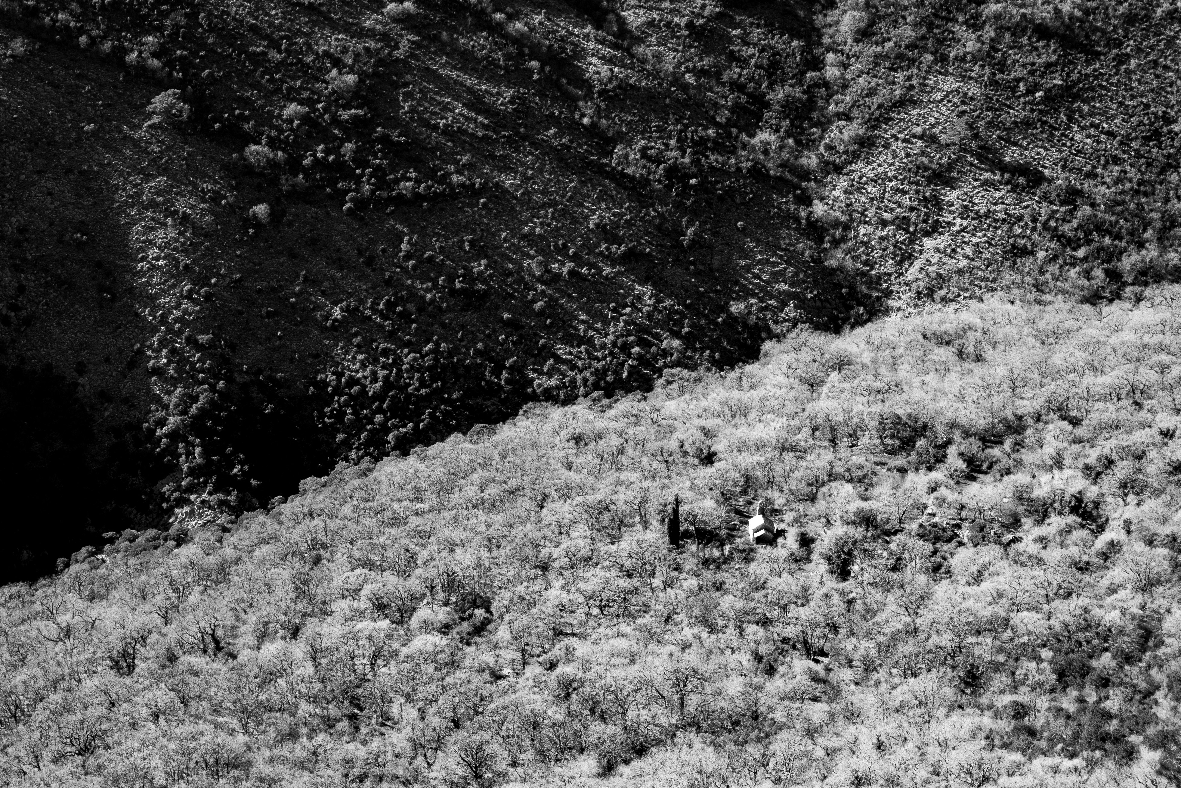 Photo by sergeibulynin