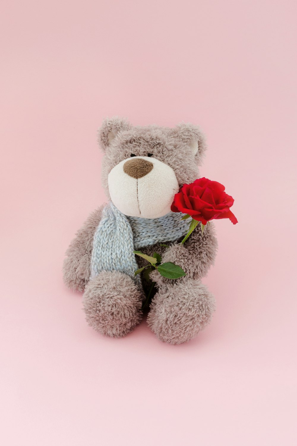 a gray teddy bear holding a red rose
