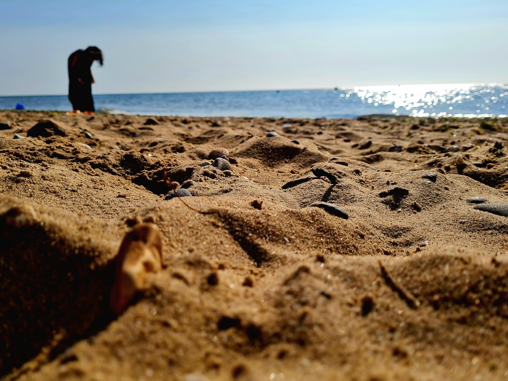 a person standing on a beach next to the ocean