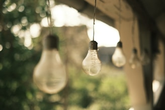 a group of light bulbs hanging from a ceiling