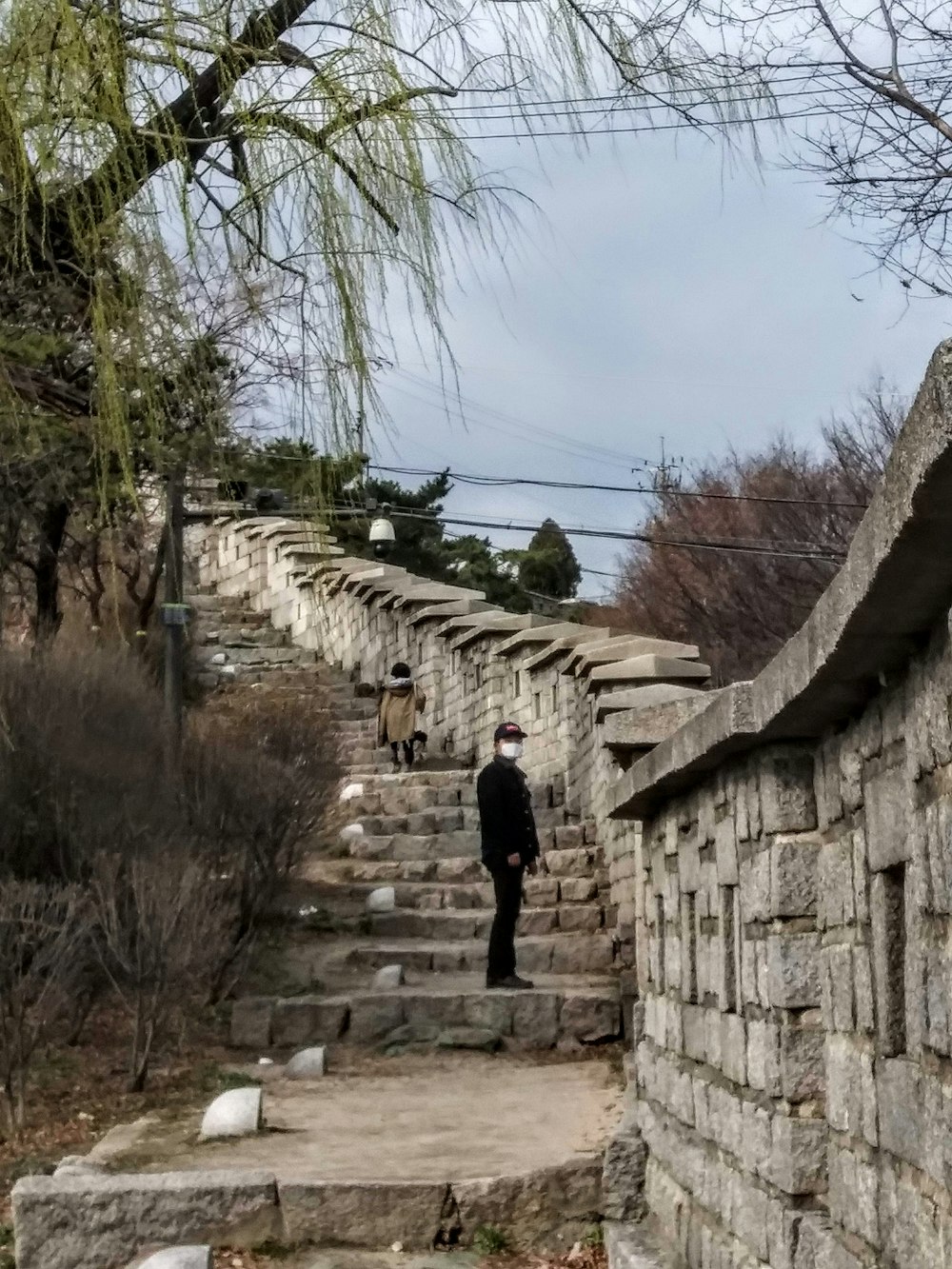 a man walking up some steps in a park