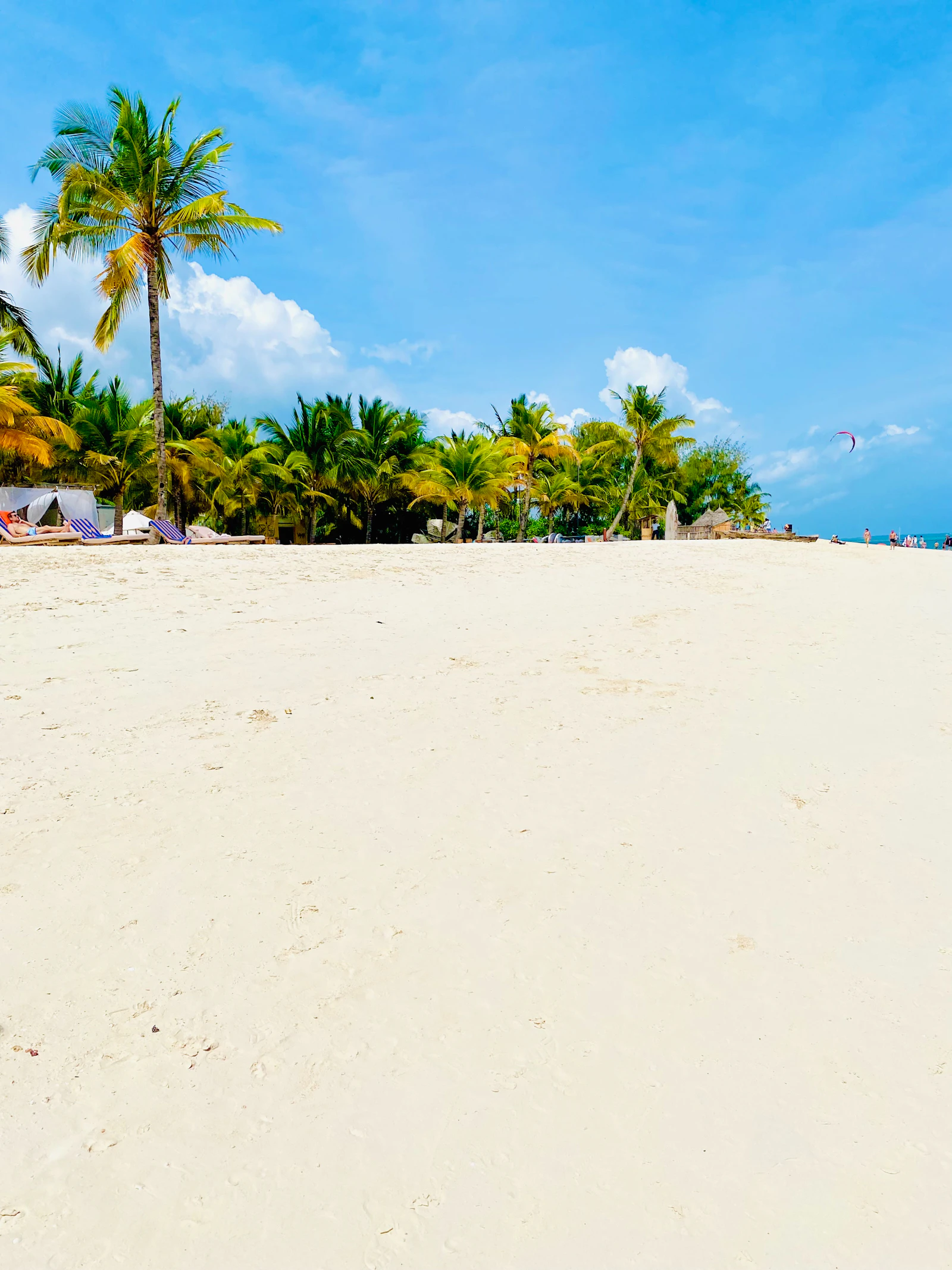 Zanzibar beach with palm trees and turquoise sea