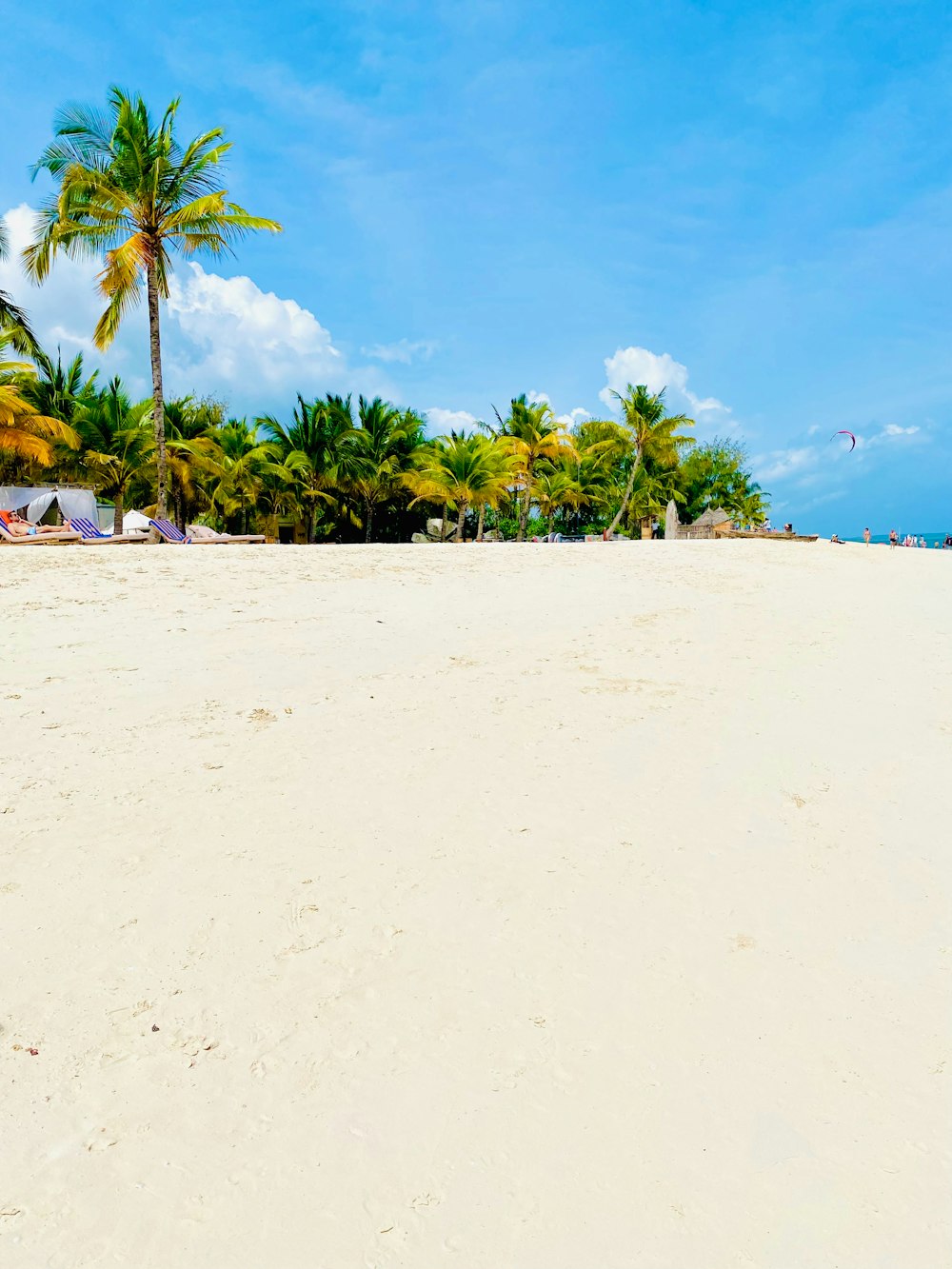 a sandy beach with palm trees and a blue sky