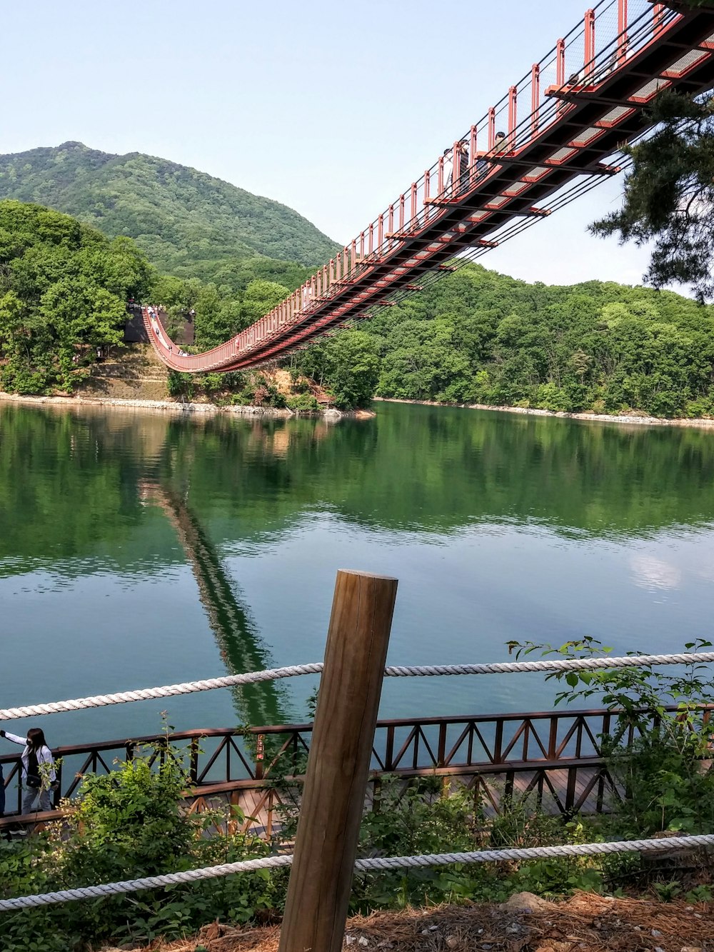 a bridge over a body of water next to a forest