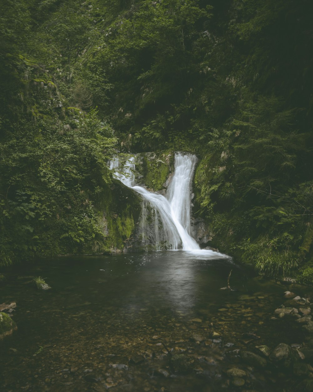 a small waterfall in the middle of a forest