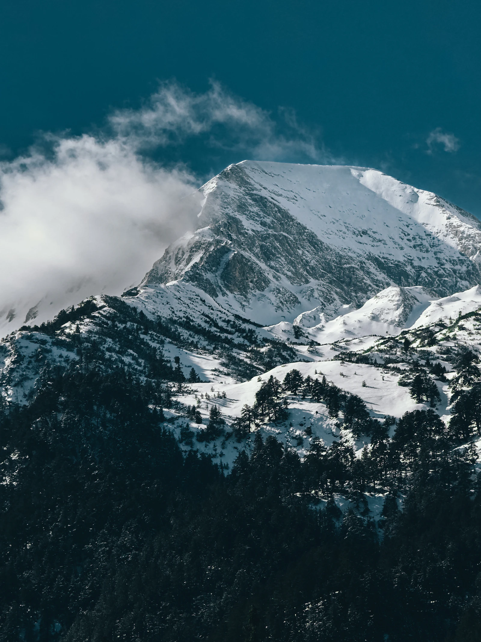 Snow-covered Pirin peaks under a blue sky above Bansko.