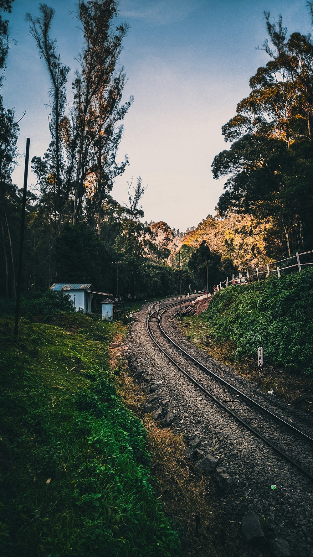 a train track running through a lush green forest