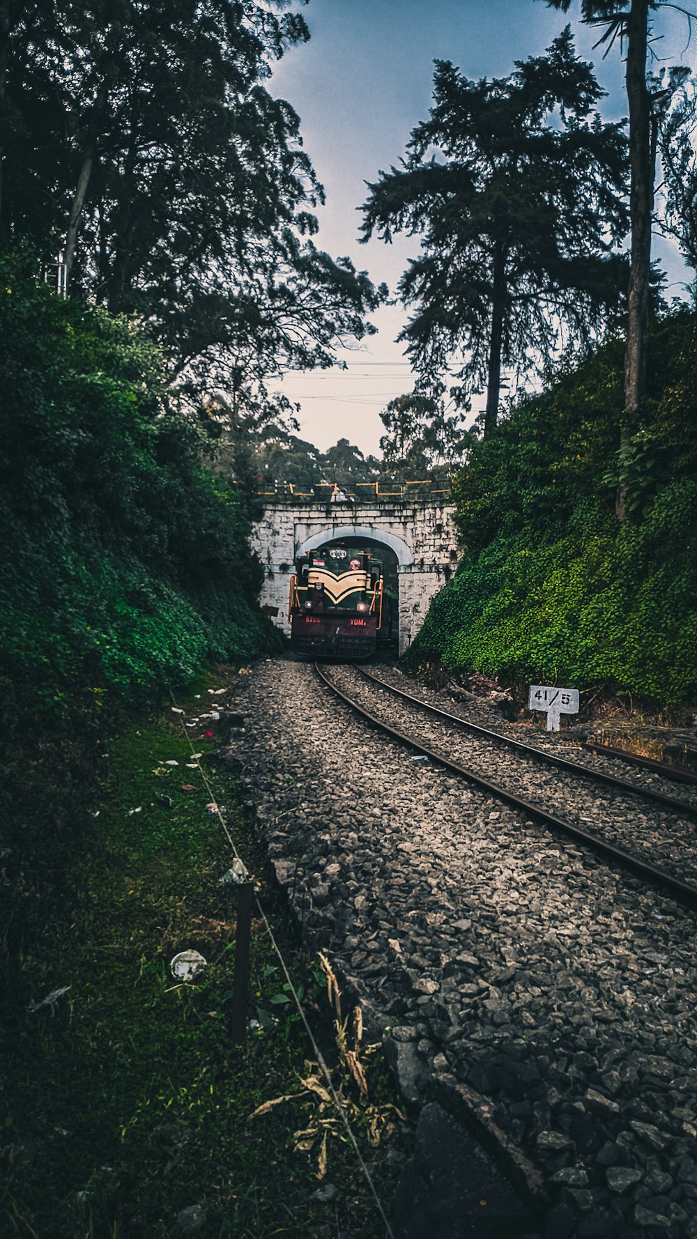a train traveling through a tunnel surrounded by trees