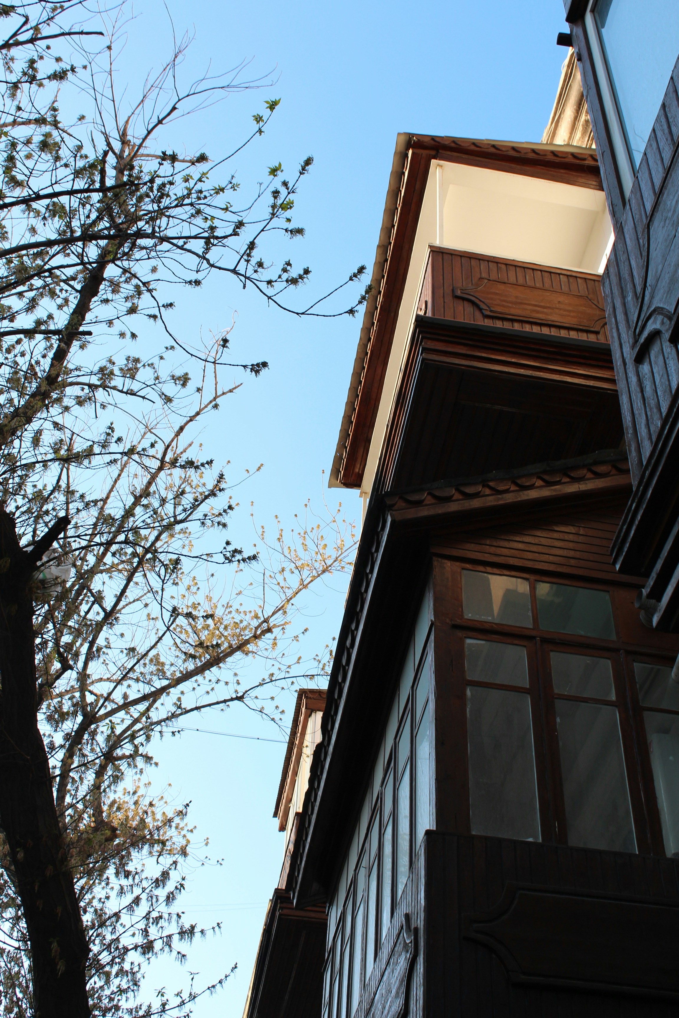 Photo by thesilvafocus