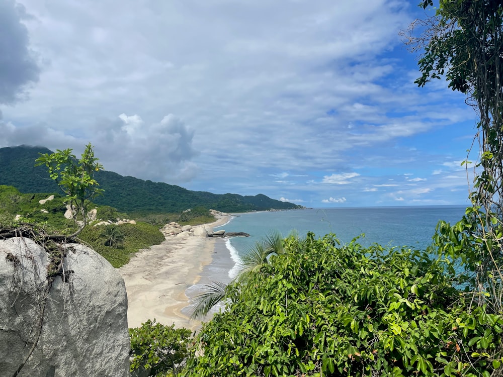 a view of a beach from a cliff