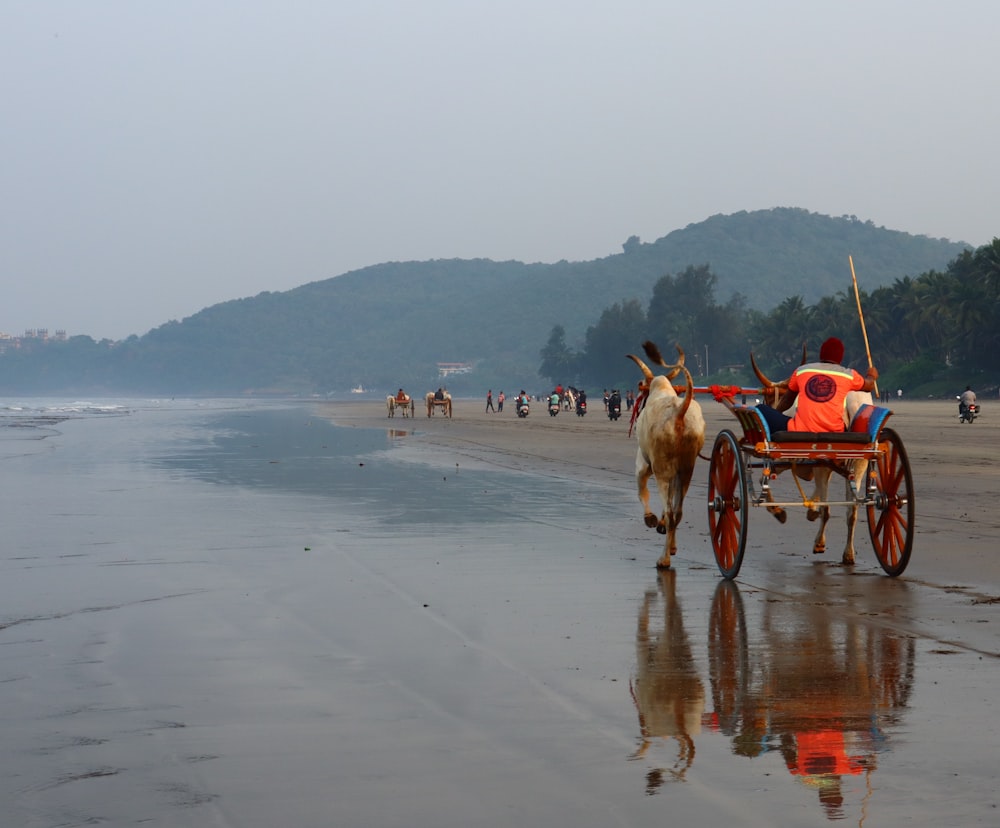 a horse pulling a cart down a beach