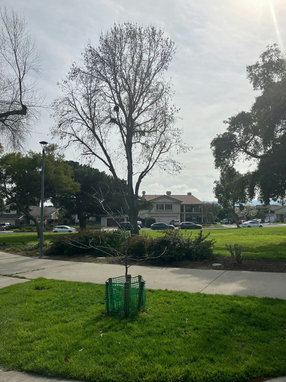 uma lata de lixo verde sentada no meio de um parque