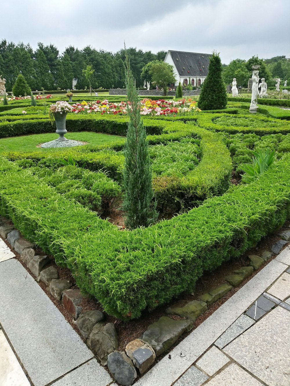 a very nice looking garden with a very nice design