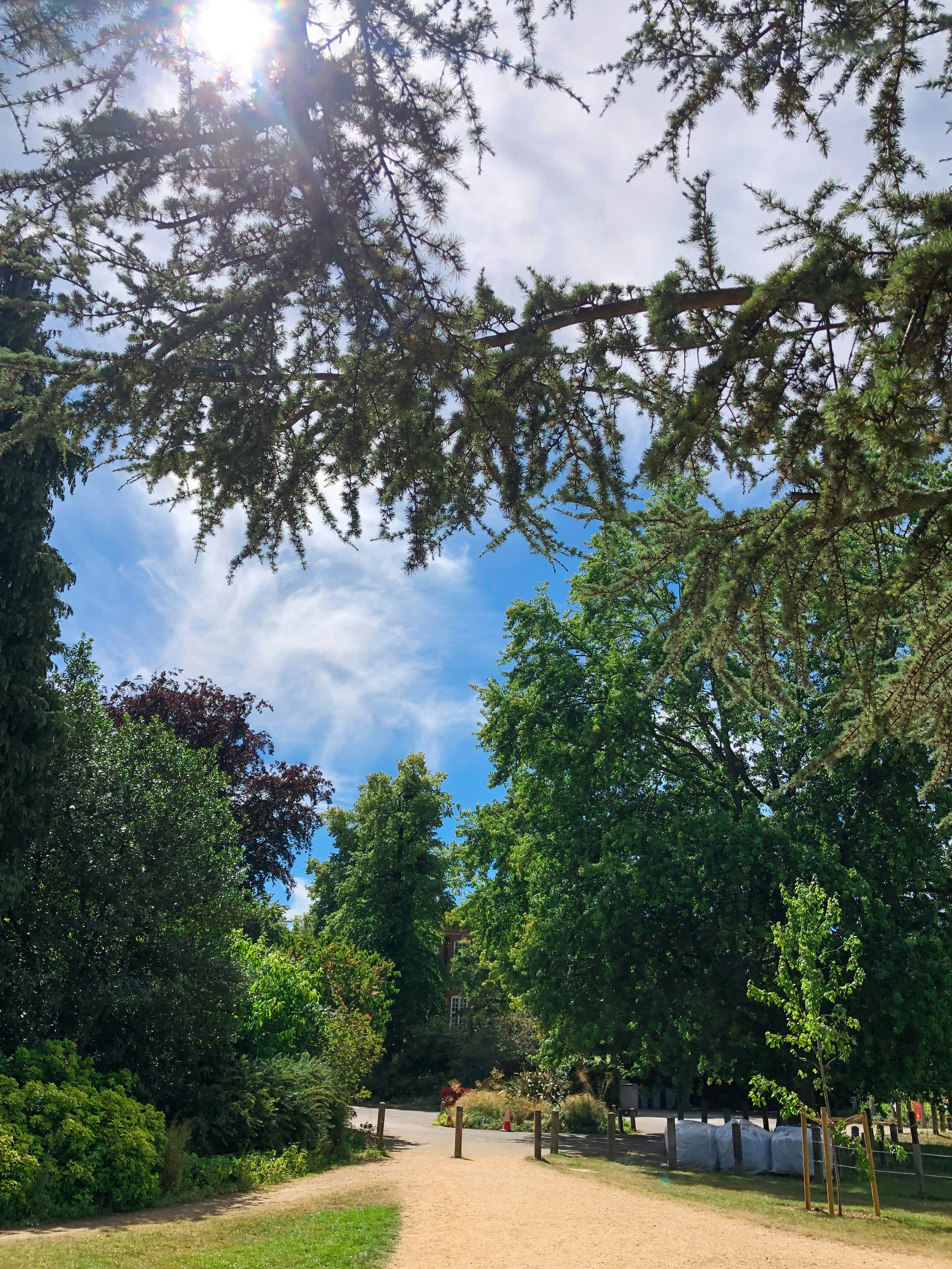 Photo by oliviapedler