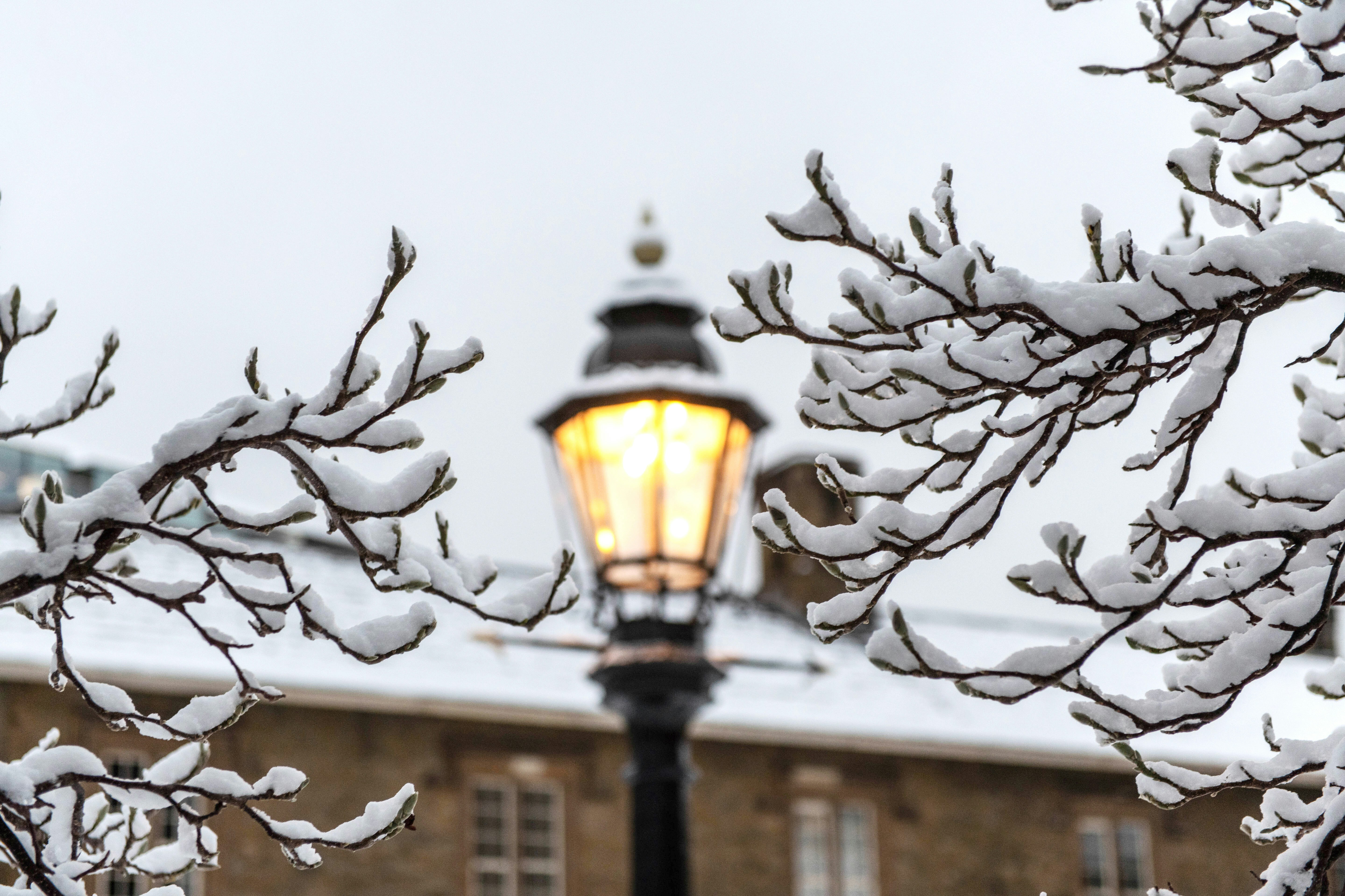 Photo by manasianandco