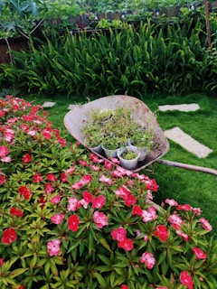a wheelbarrow filled with flowers in a garden