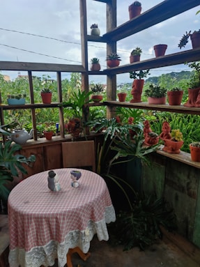 a table with a checkered table cloth on it