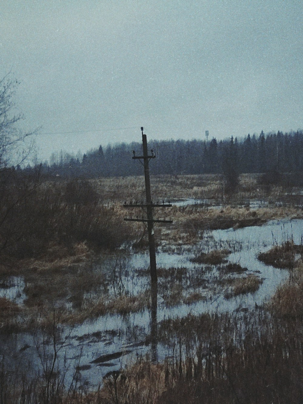 a flooded field with a telephone pole in the middle of it