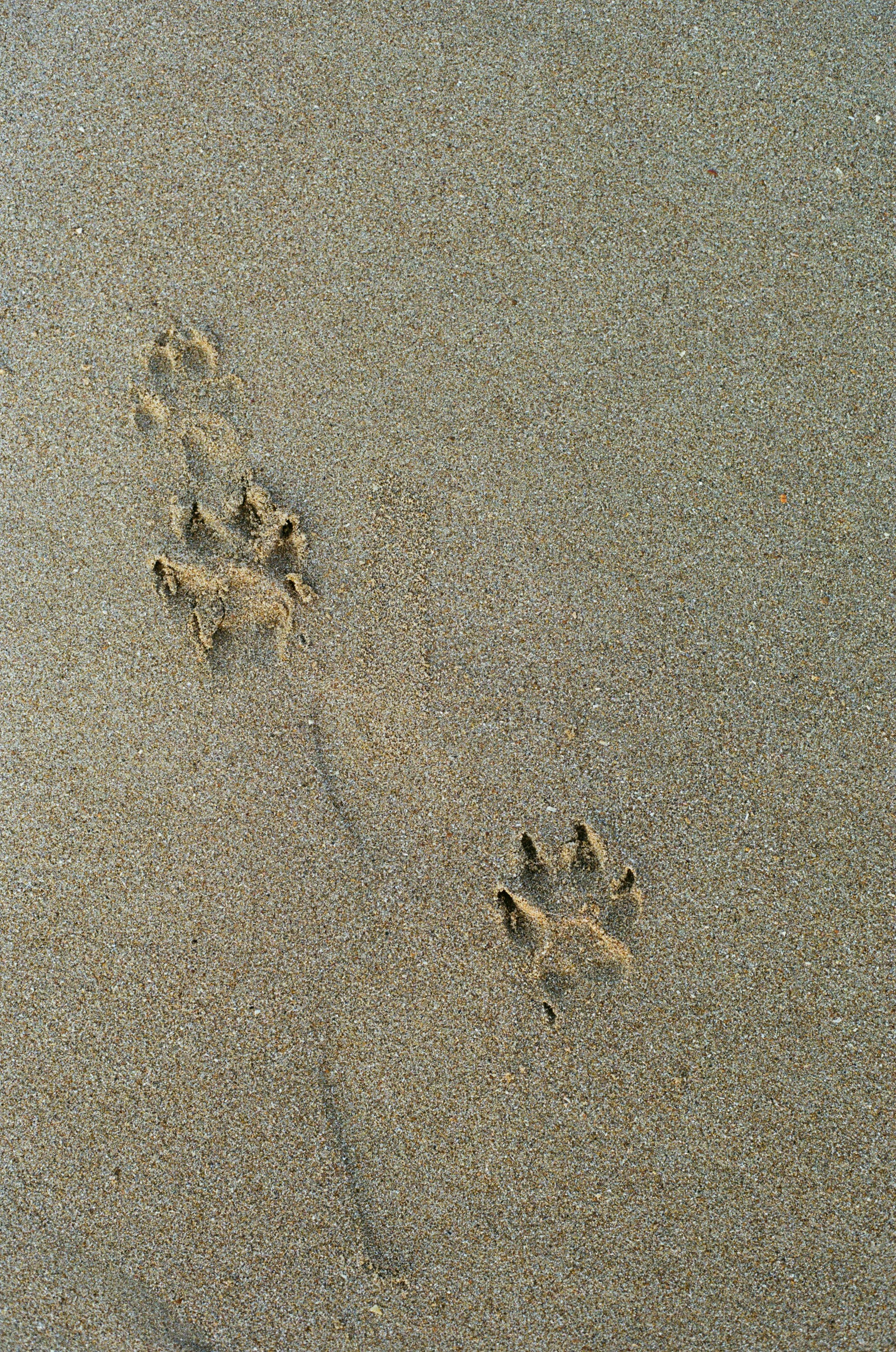 Photo by benjaminzanatta