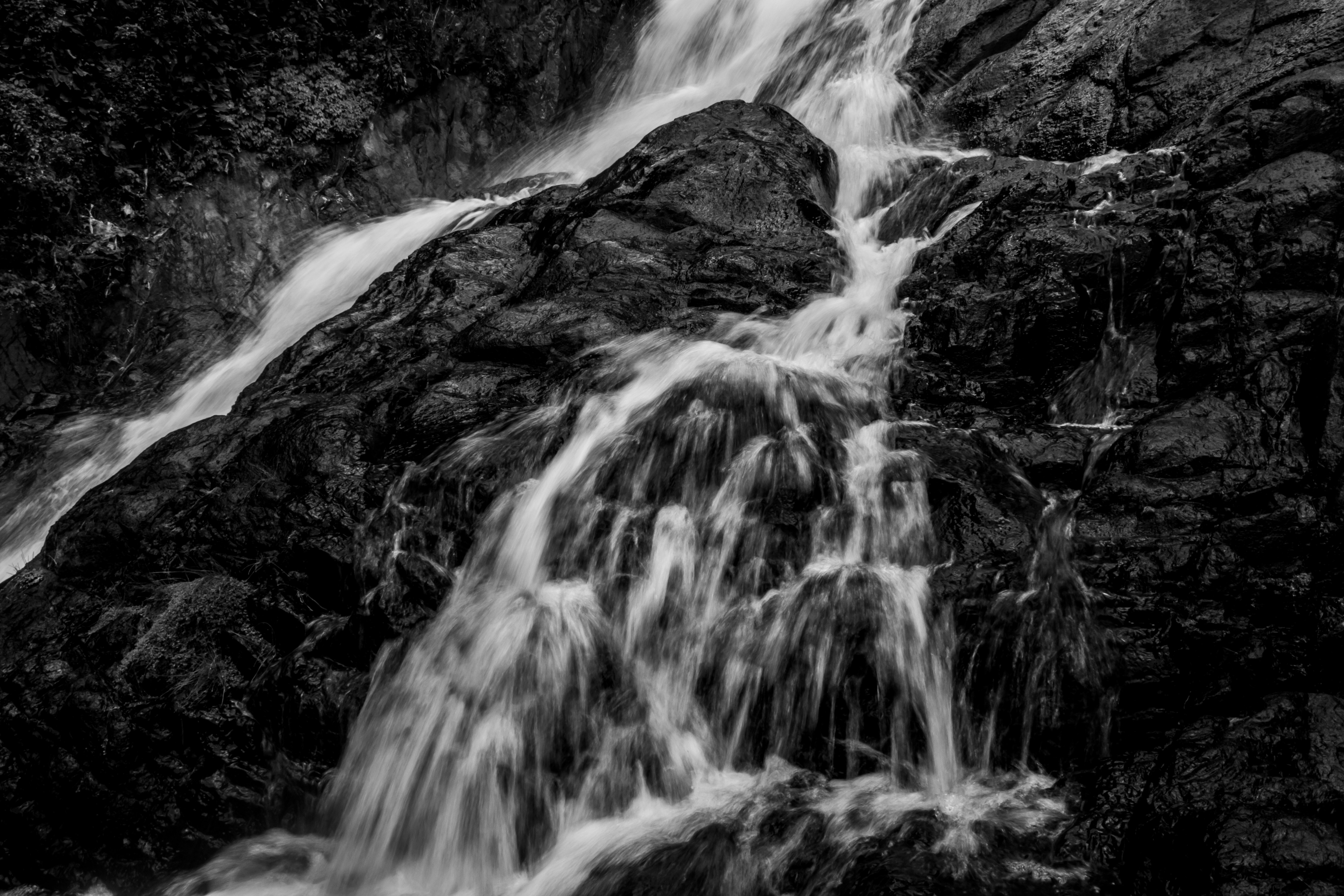 Photo by aldwardcv31