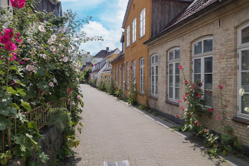 a brick walkway between two buildings with flowers growing on it