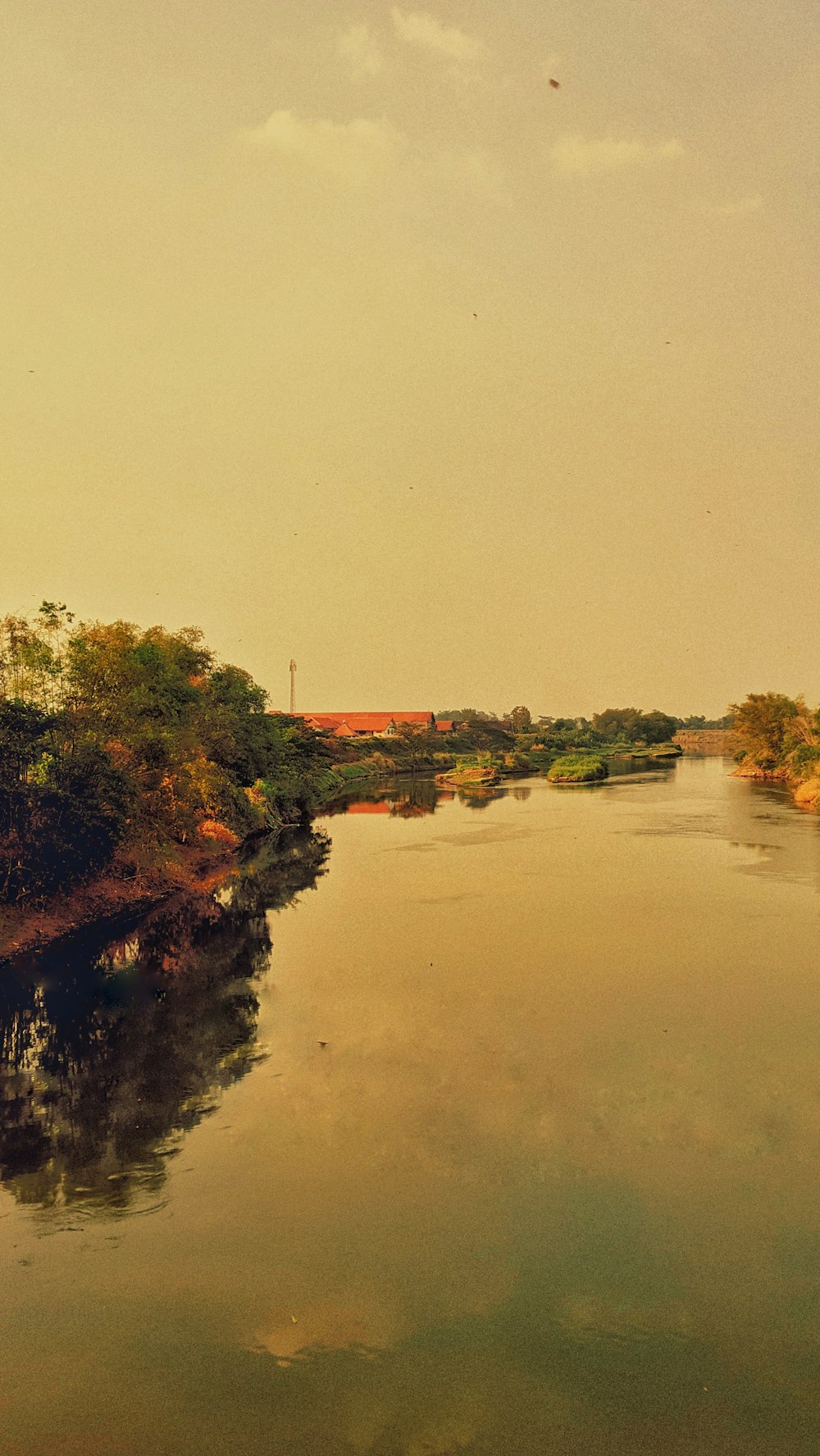 a body of water surrounded by trees and grass