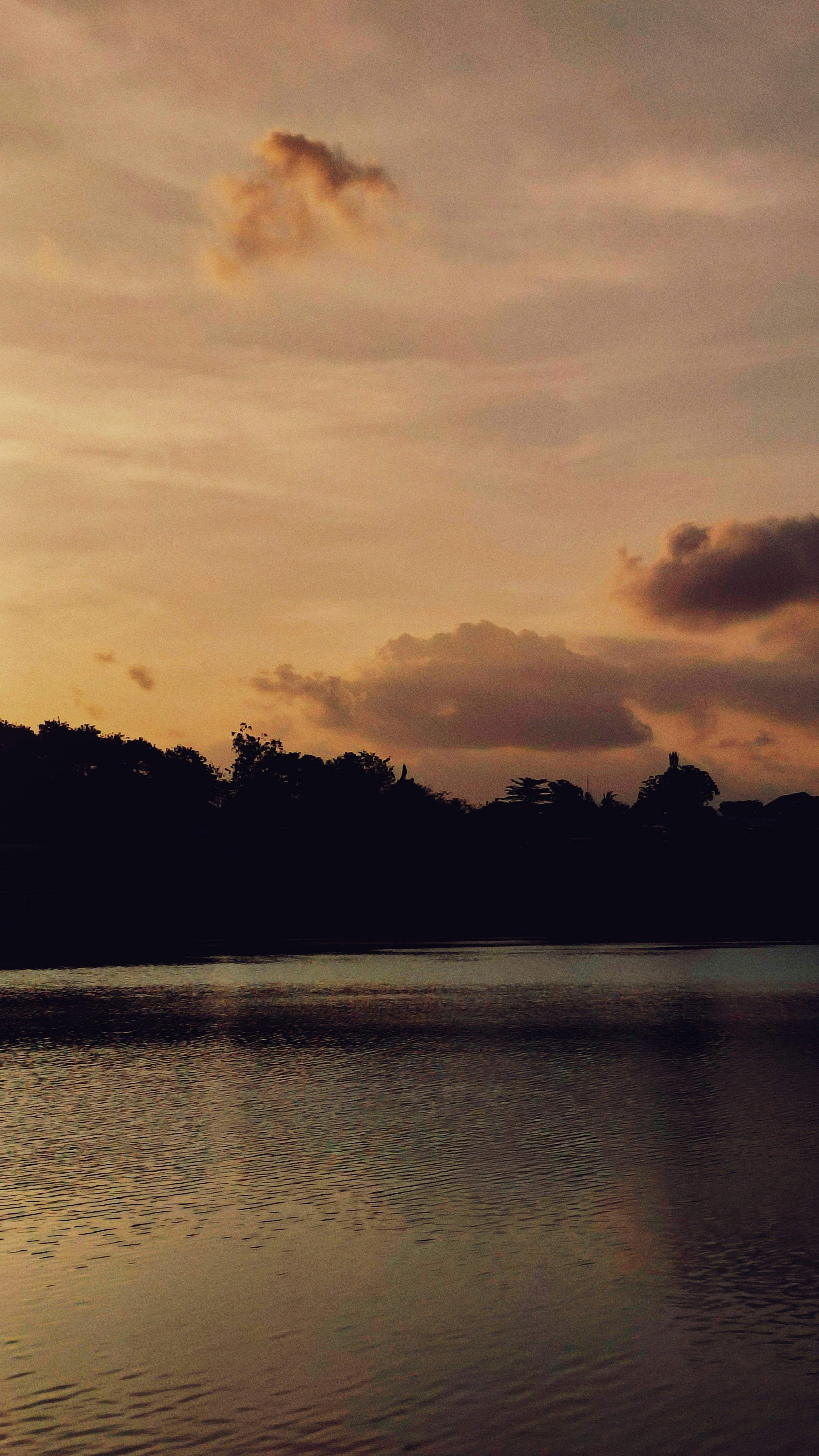 Un cuerpo de agua con árboles al fondo