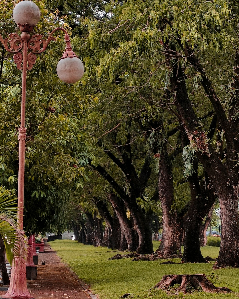 a street light sitting next to a lush green park