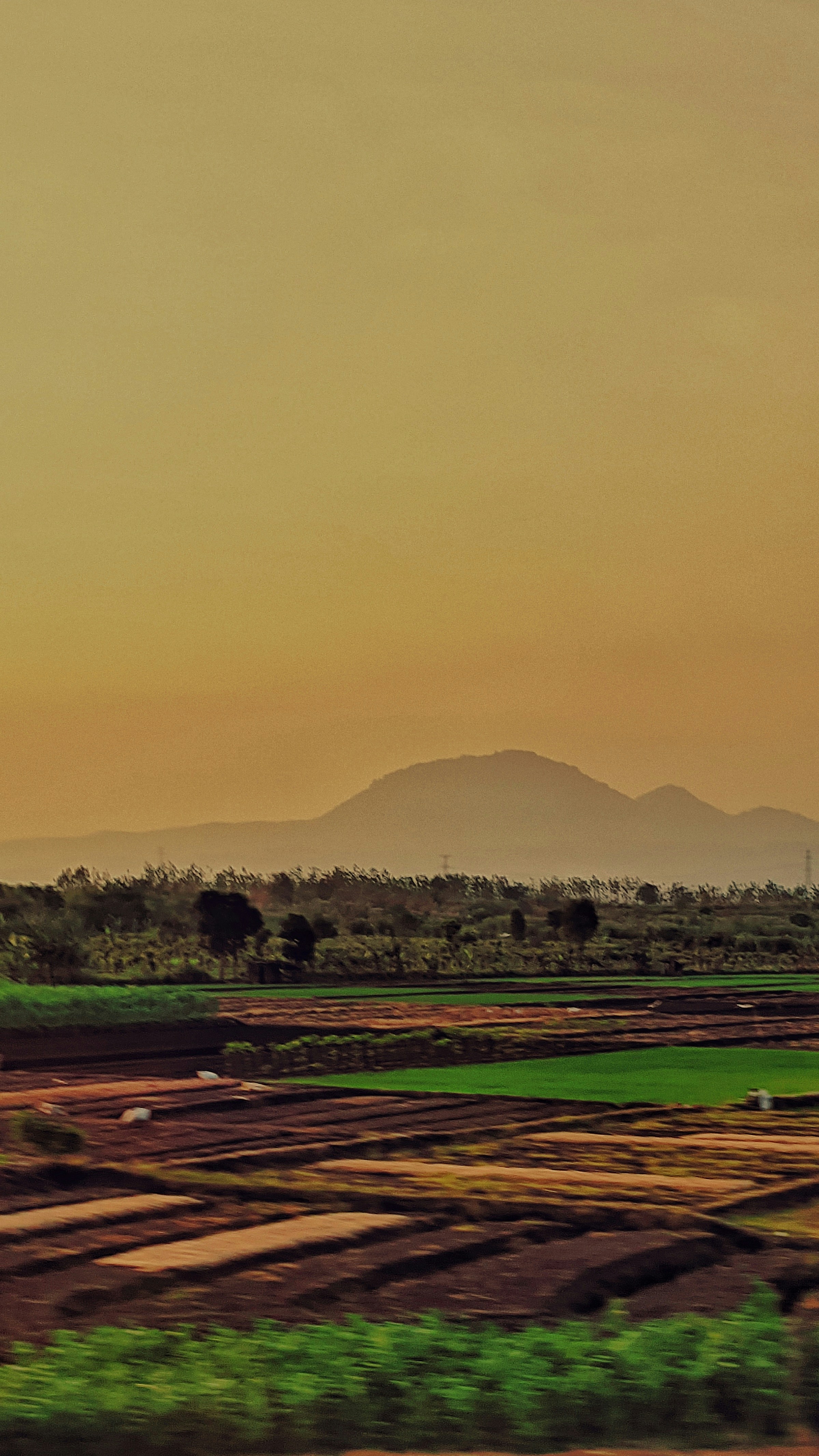 Un avión está volando sobre un campo con montañas al fondo
