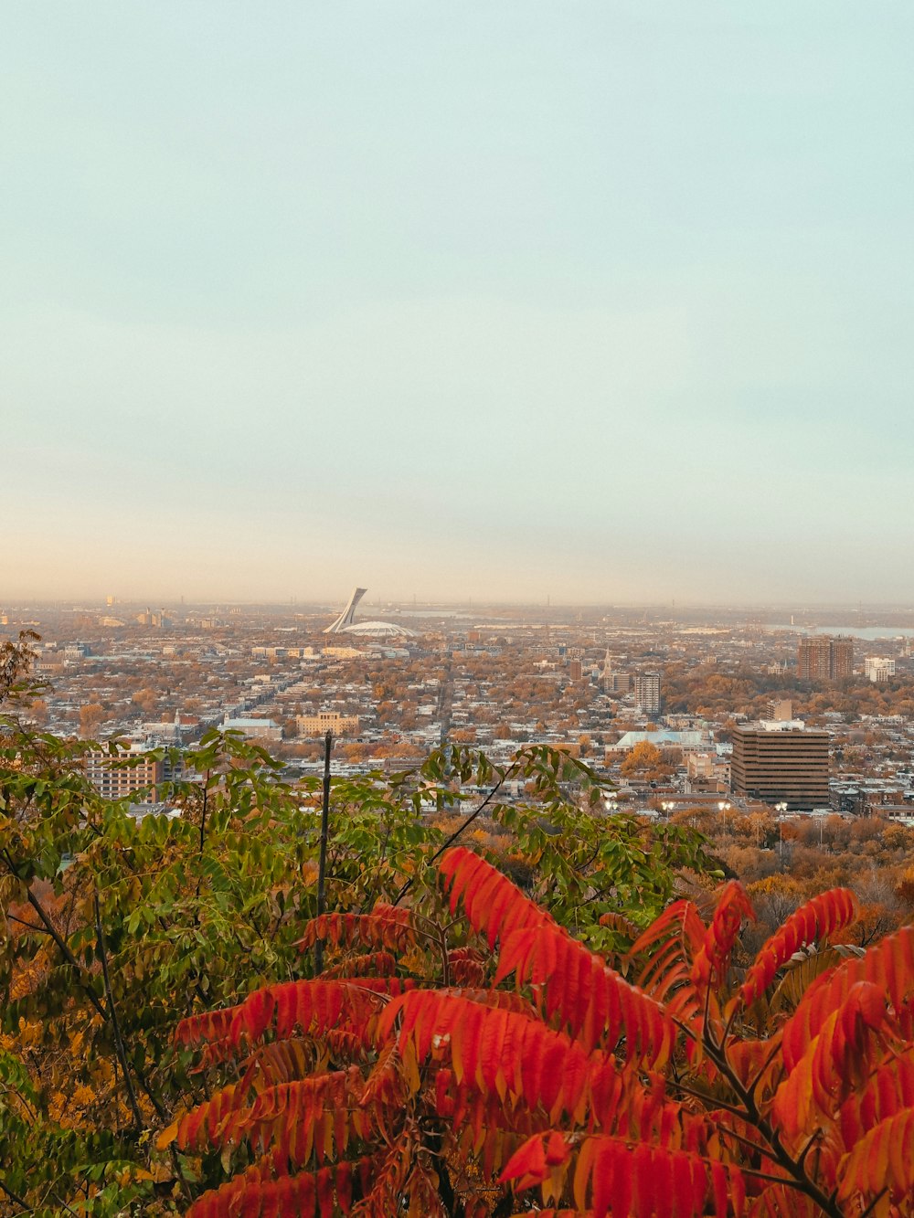 uma vista de uma cidade de uma colina