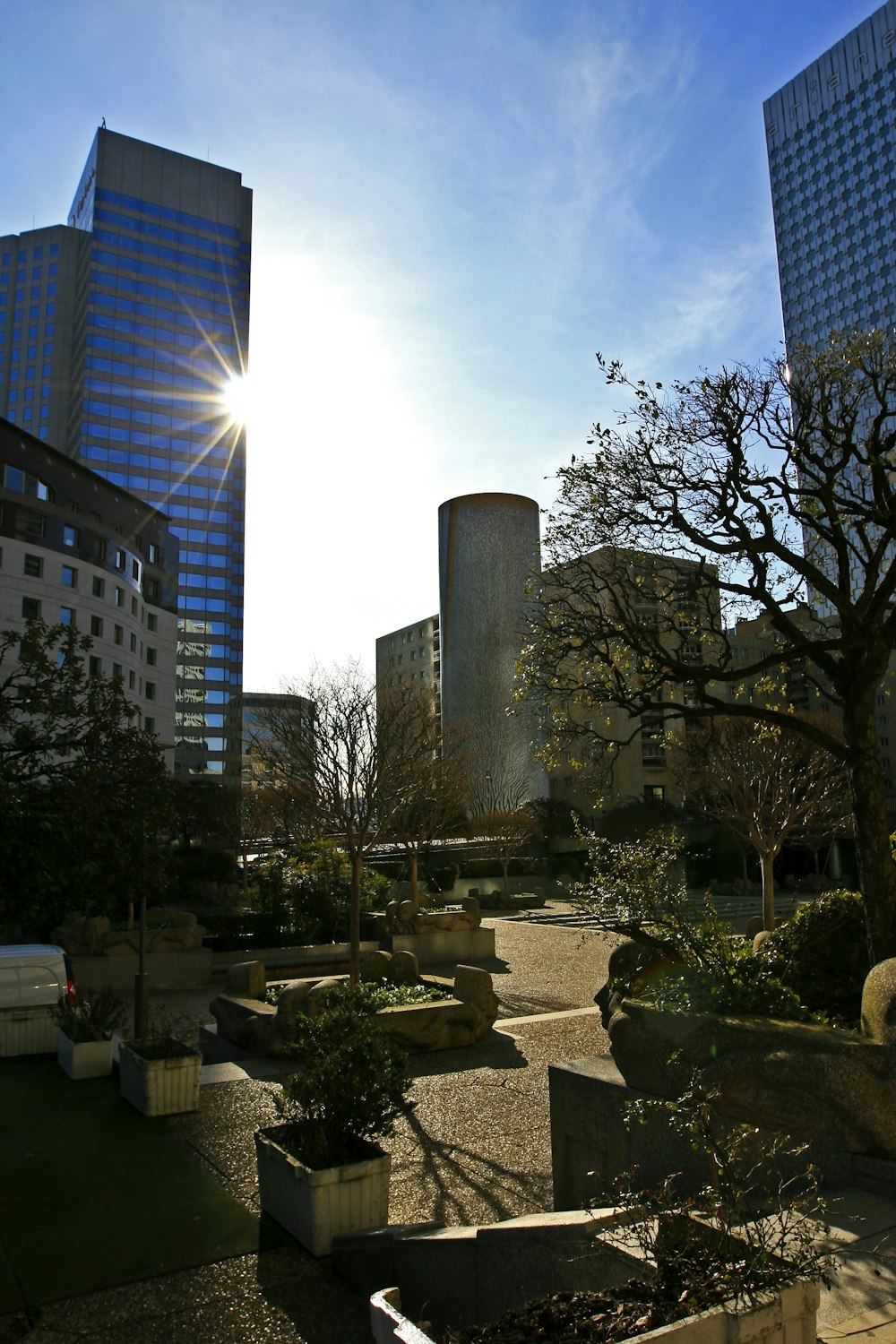 the sun shines brightly in a city park