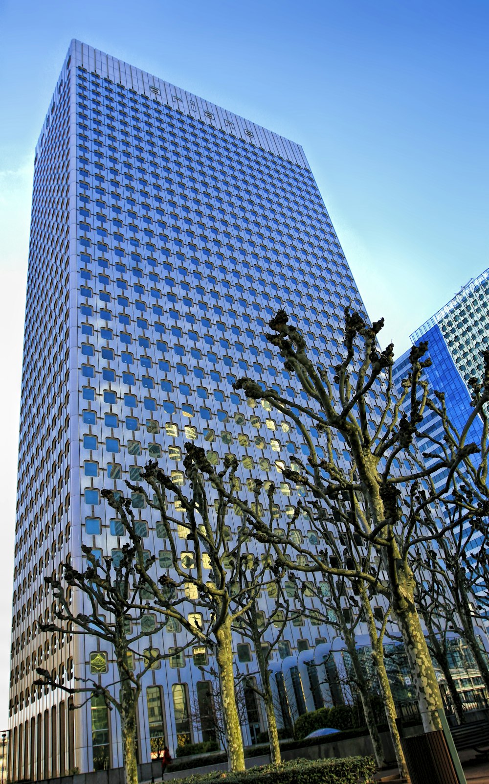 a tall building sitting next to a bunch of trees