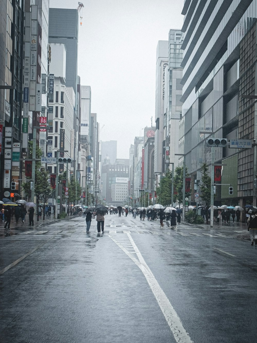 um grupo de pessoas caminhando por uma rua segurando guarda-chuvas