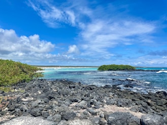 galapagos sailing adventure
