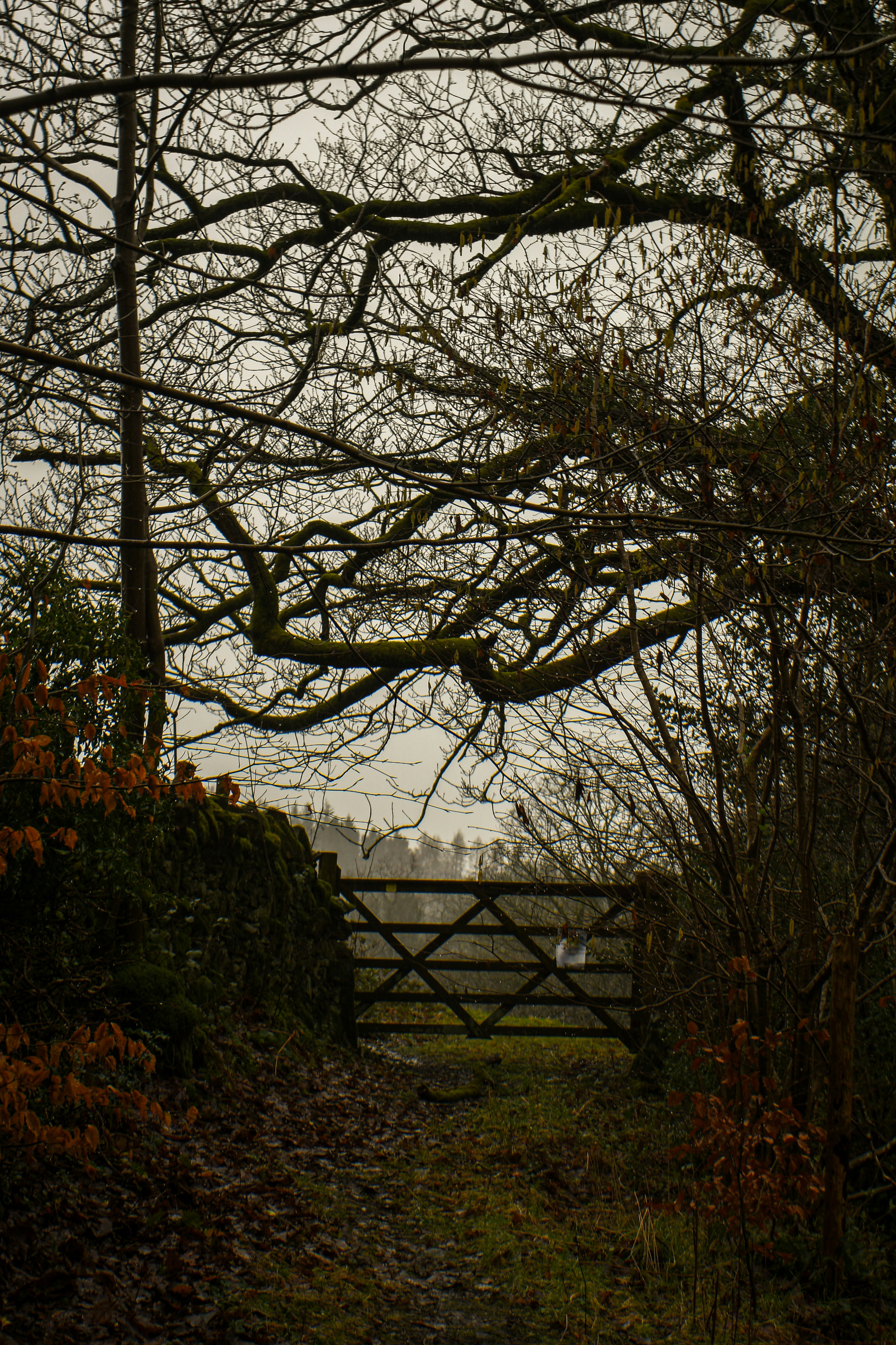 Photo by julia_fiander