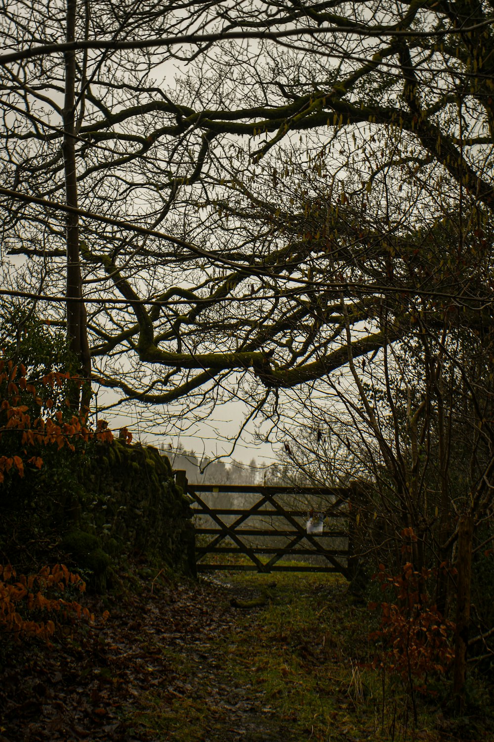 a wooden gate surrounded by trees and bushes