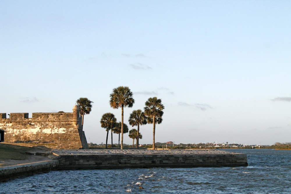 a body of water with palm trees in the background