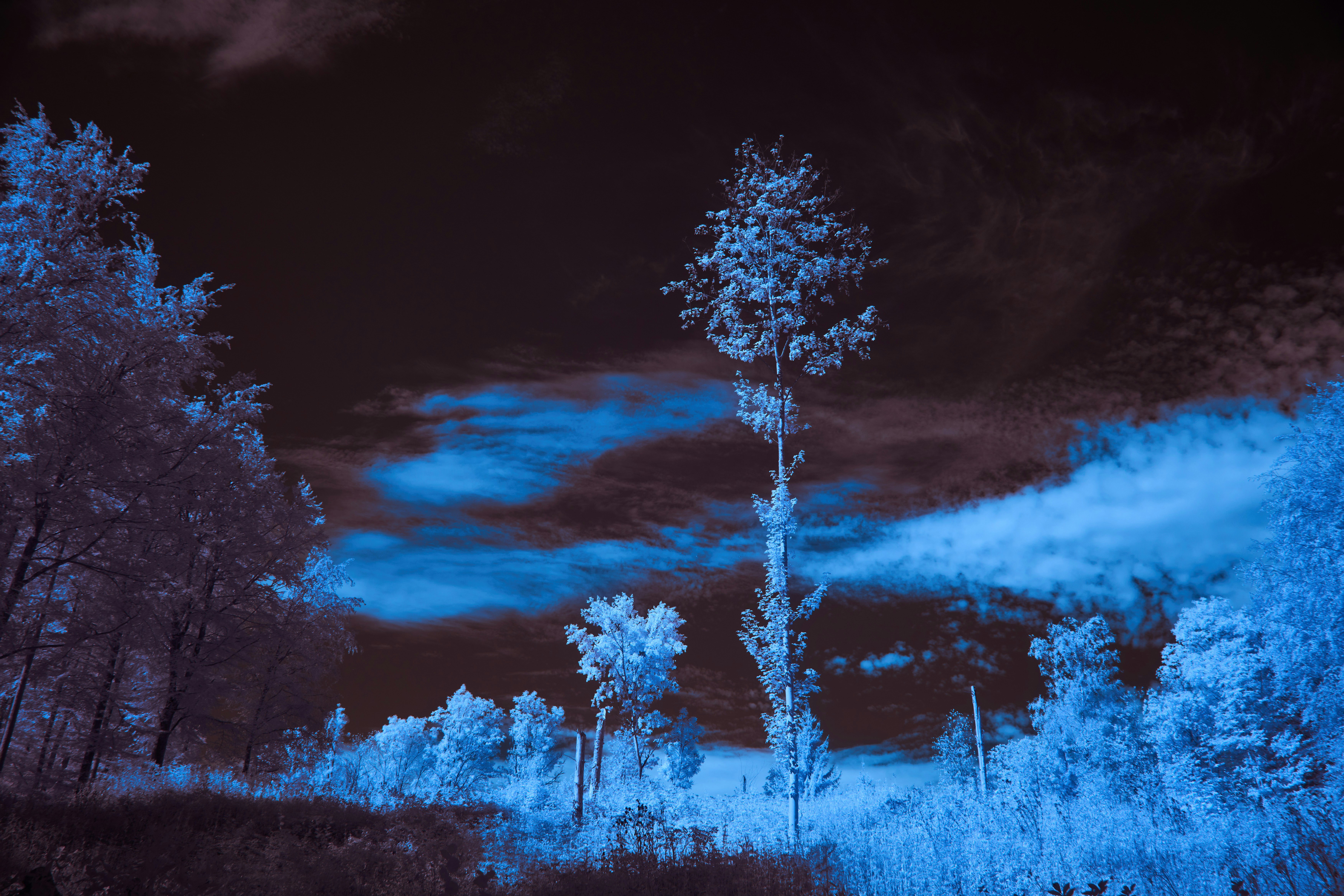 Photo by wolfgang_hasselmann