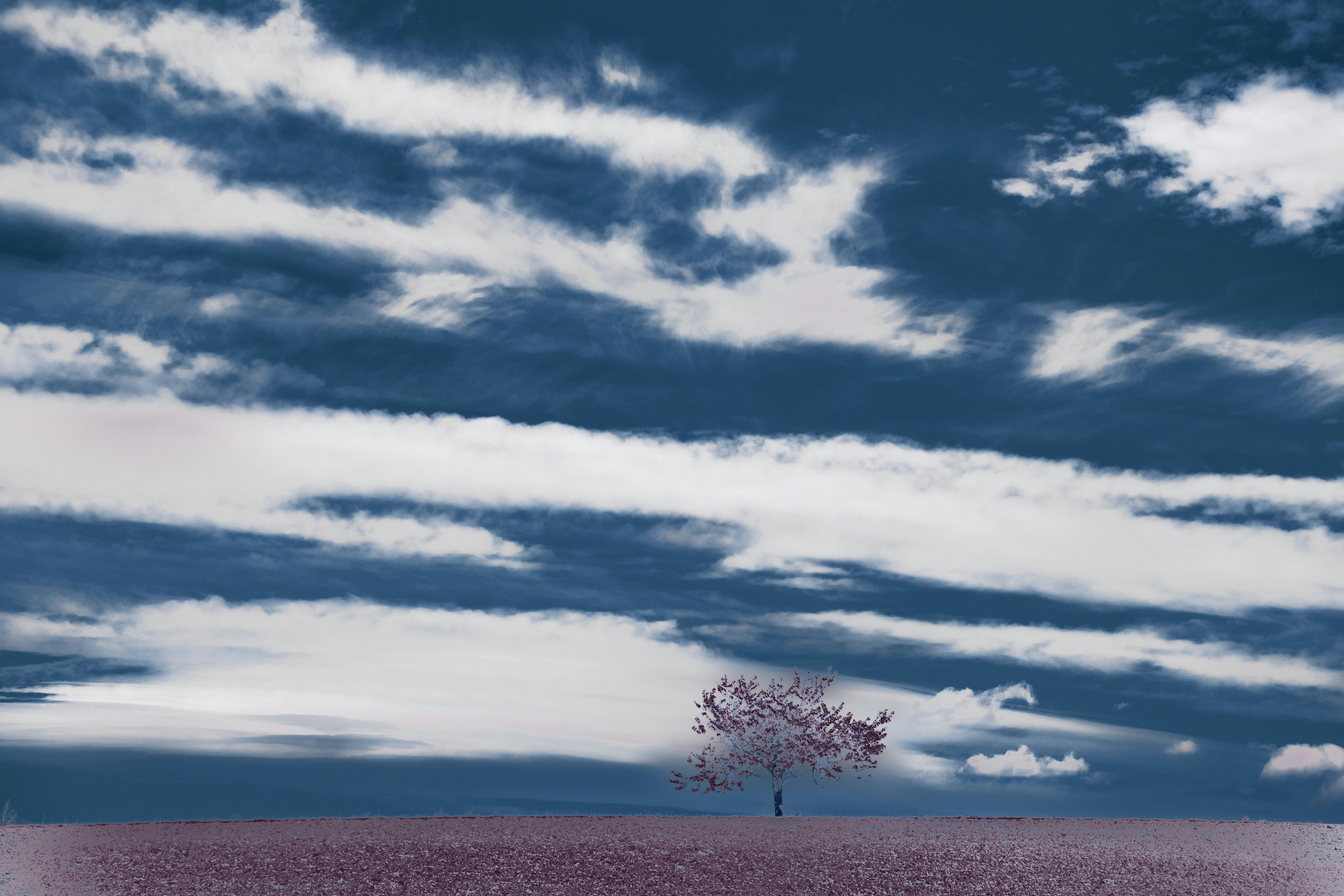 Photo by wolfgang_hasselmann