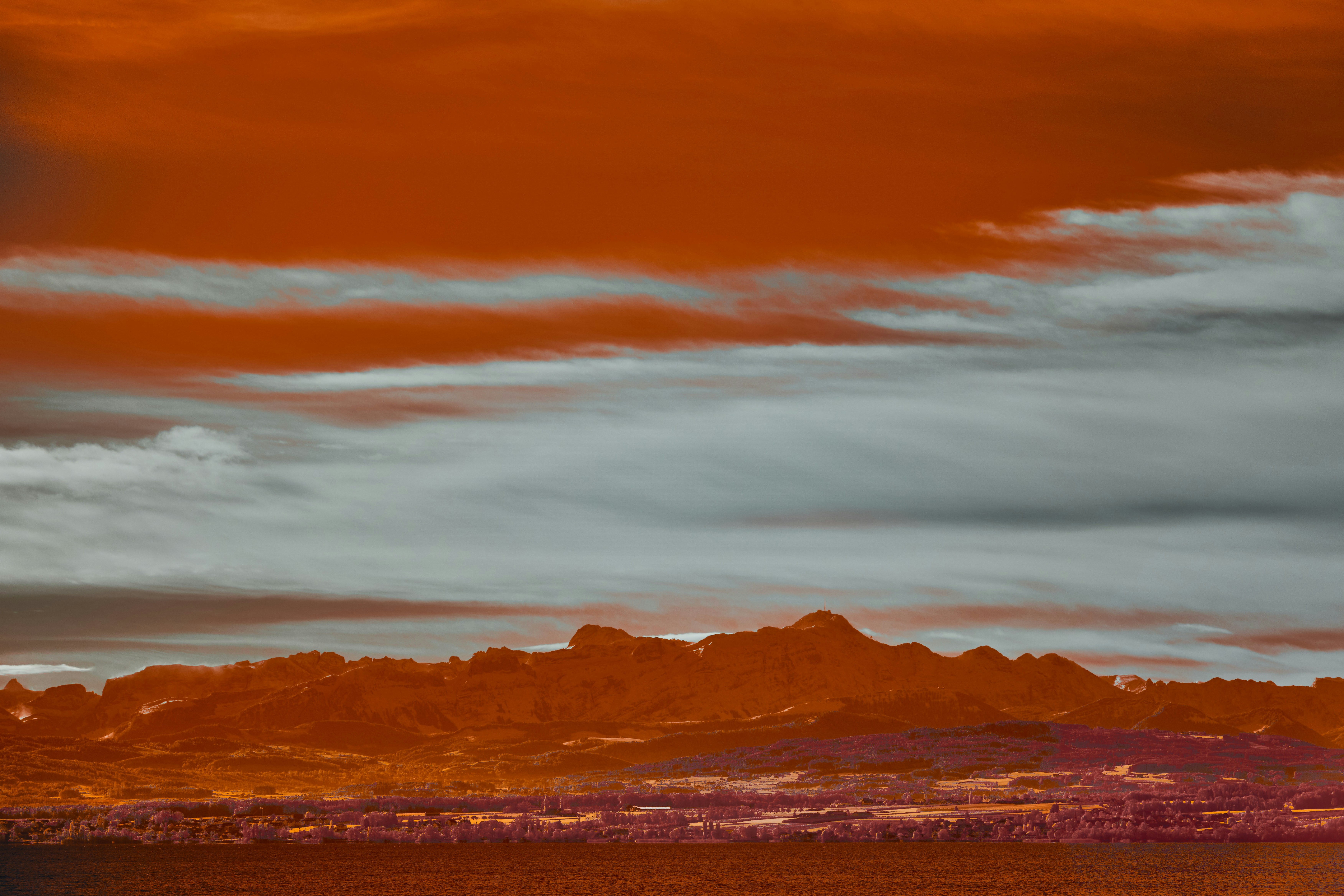 Photo by wolfgang_hasselmann