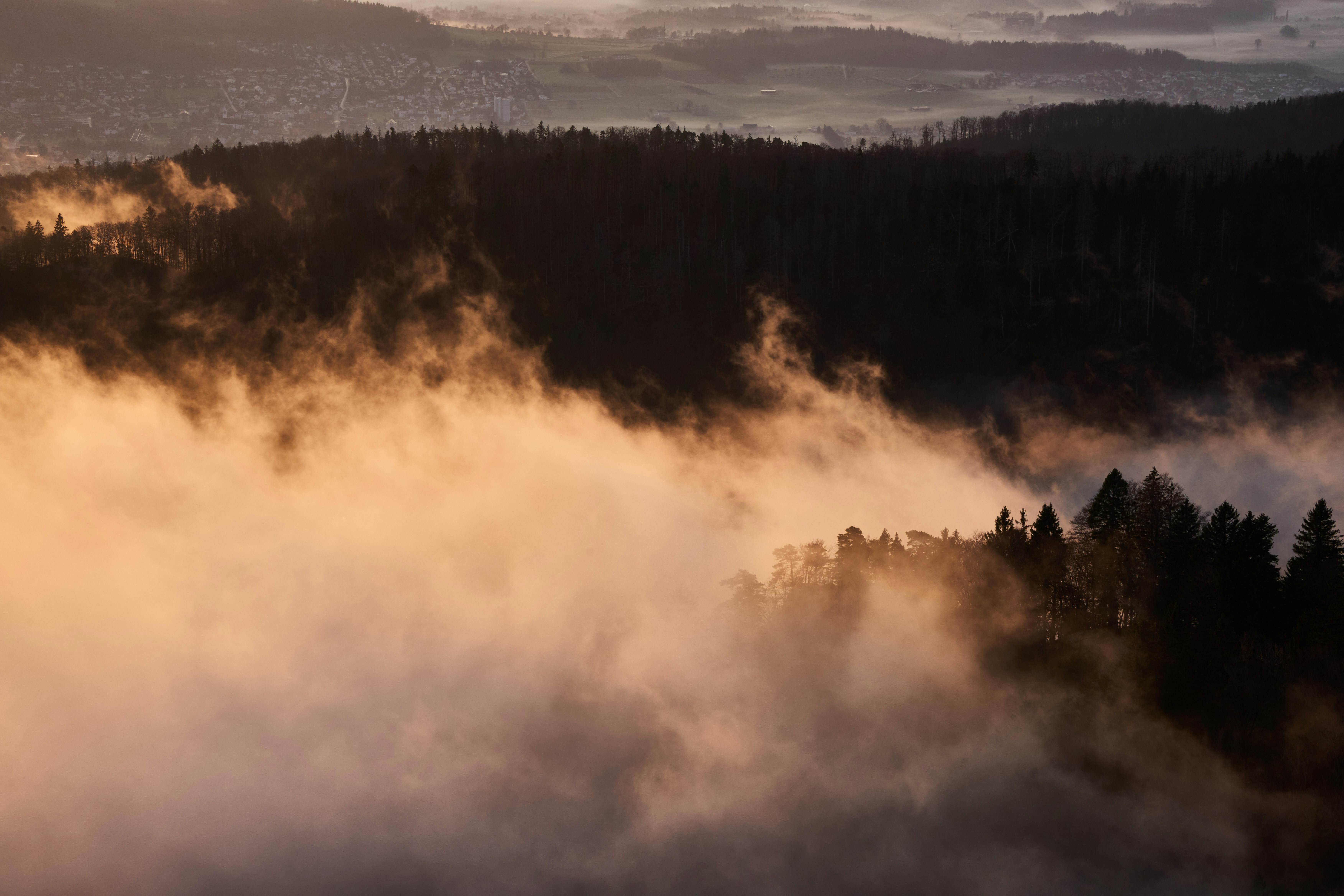 Photo by wolfgang_hasselmann