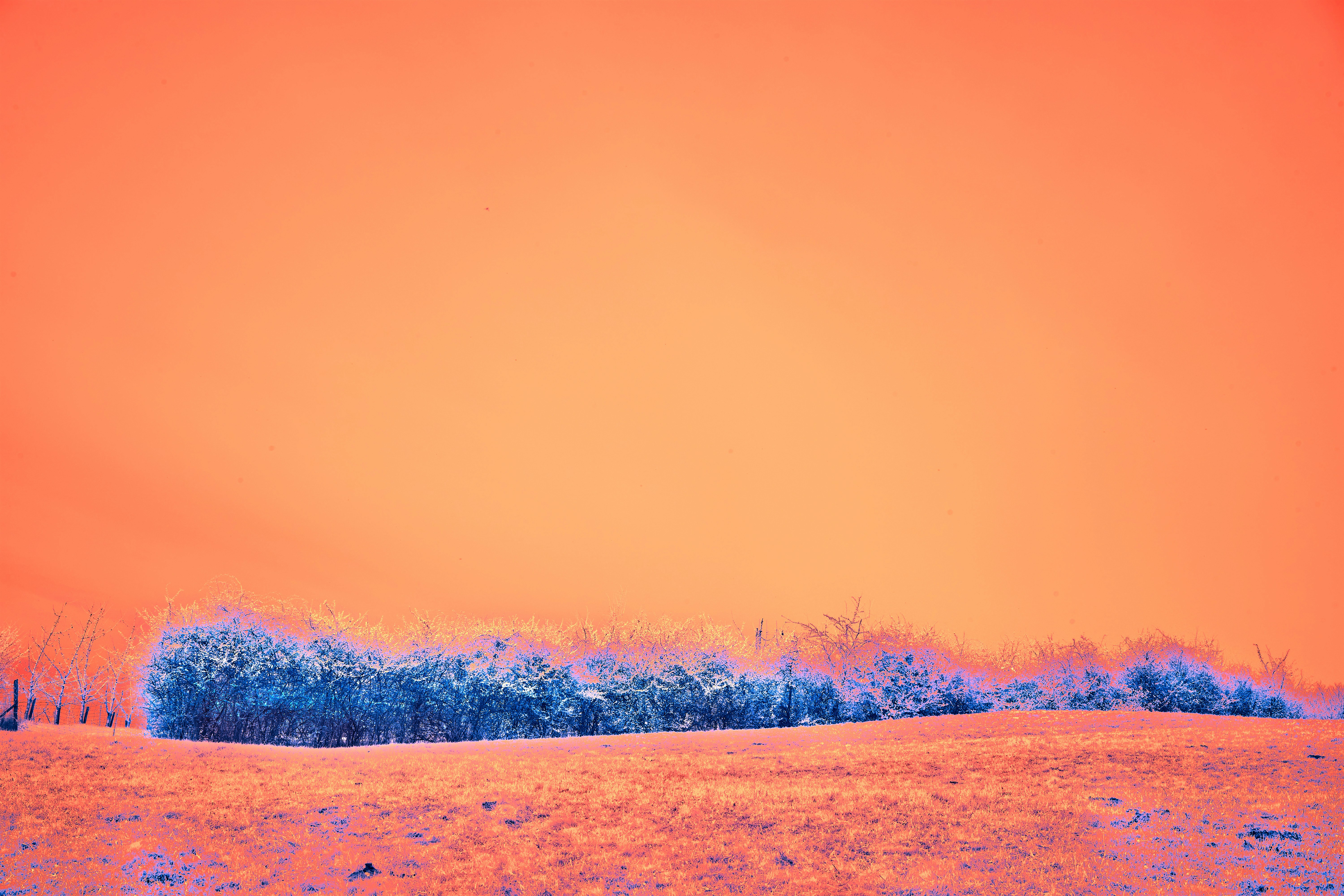 Photo by wolfgang_hasselmann