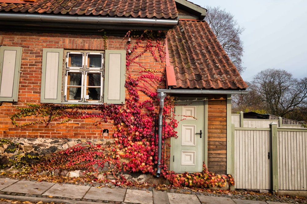 a house with a vine growing on the side of it