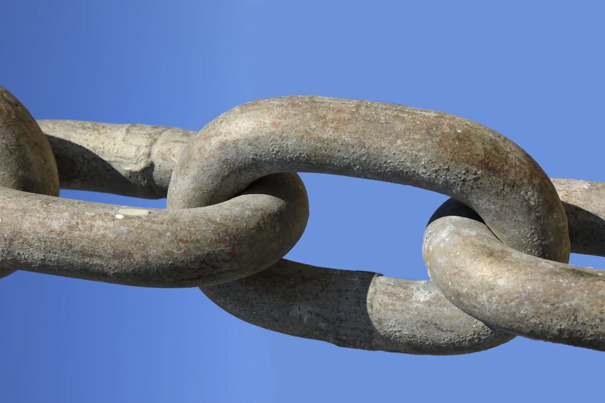 How to Check Your Backlink Anchor Text Distribution