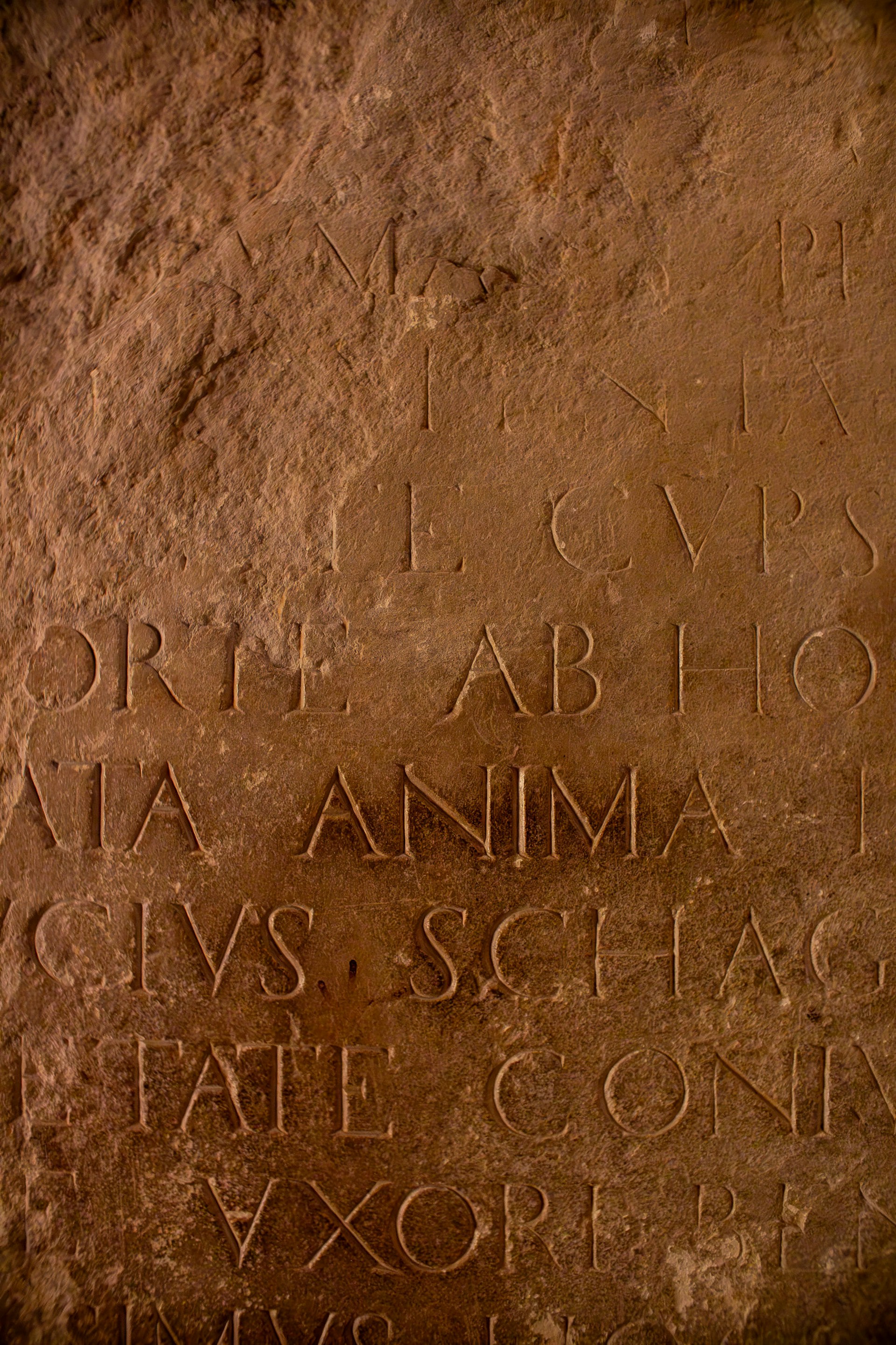 a close up of a rock with writing on it