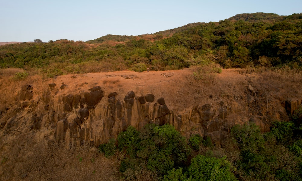 an aerial view of a rocky outcropping in the jungle