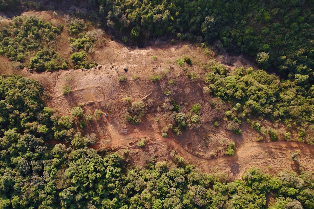 an aerial view of a forested area with trees