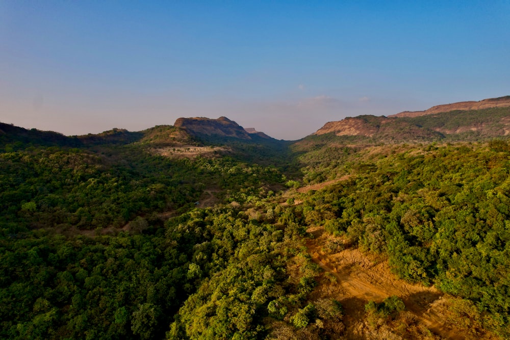 an aerial view of a forest with mountains in the background